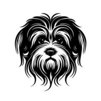 förtjusande havanese hund huvudskott. svart och vit vektor illustration för hund älskare, sällskapsdjur vård, och veterinär tjänster. isolerat på vit bakgrund.