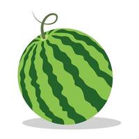 Wassermelone auf Weiß Hintergrund, Vektor Illustration