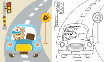 Vektor Karikatur von komisch Affe Fahren Auto im das Straße, Färbung Buch oder Seite
