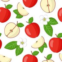 vektor tecknad seamless mönster med malus domestica eller rött äpple exotiska frukter, blommor och blad på vit bakgrund