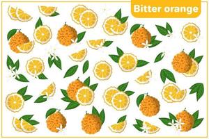 uppsättning vektor tecknad illustrationer med hela, halva, skiva bit bitter orange exotiska frukter, blommor och blad isolerad på vit bakgrund