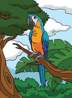 papegoja djur- färgad tecknad serie illustration vektor