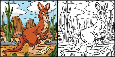 känguru målarbok färgad illustration vektor