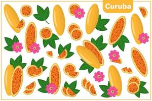 uppsättning vektor tecknad illustrationer med curuba exotiska frukter, blommor och blad isolerad på vit bakgrund