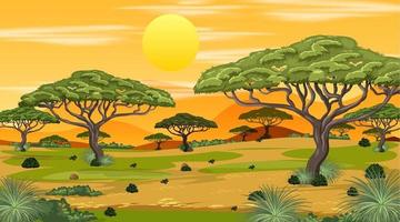 afrikansk savann skog landskap scen vid solnedgången vektor