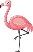 Flamingo im Karikaturstil lokalisiert auf weißem Hintergrund vektor