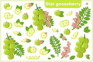uppsättning vektor tecknad illustrationer med stjärna krusbär exotiska frukter, blommor och blad isolerad på vit bakgrund