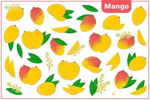 uppsättning vektor tecknad illustrationer med mango exotiska frukter, blommor och blad isolerad på vit bakgrund