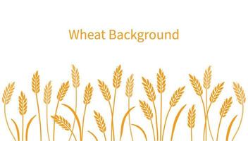 Weizen, Gerste, Feld Hintergrund zum Hafer, Müsli vektor