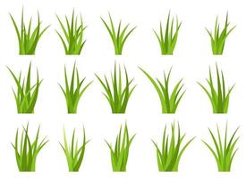 Grün Gras Vektor Design Illustration isoliert auf Weiß Hintergrund