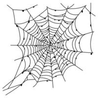 unheimlich Spinne Netz isoliert. gespenstisch Halloween Dekoration. Gliederung Spinnennetz Illustration vektor