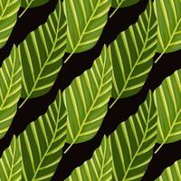 dekorativ tropisch Palme Blätter nahtlos Muster. Urwald Blatt Hintergrund. exotisch botanisch Textur. vektor