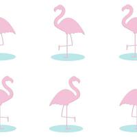 Flamingo nahtloses Muster. niedliches Flamingomuster für Stoff, Babykleidung, Hintergrund, Textil, Geschenkpapier und andere Dekoration. Vektorillustration vektor