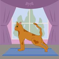 yoga för djur. röd rolig katt är håller på med yoga i de utgör nedåt vänd hund. mysigt rum. friska livsstil. meditation och avslappning. ljus vektor bild, illustration för barn