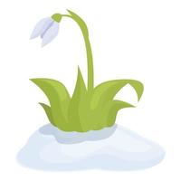 Schneeglöckchen Pflanze Symbol Karikatur Vektor. Frühling Blume vektor