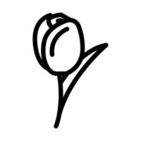 Tulpe blühen Frühling Linie Symbol Vektor Illustration