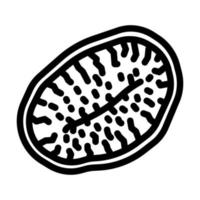 Kiwi getrocknete Früchte Symbol Leitung Vektor Illustration