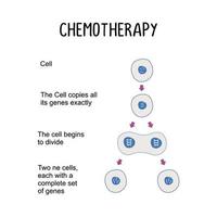 Chemotherapie verwenden von Drogen zu behandeln Krebs Targeting und Tötung Krebs vektor