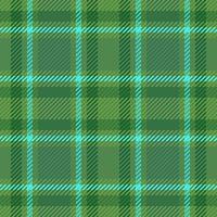 kolla upp tyg tartan. mönster bakgrund textur. pläd sömlös textil- vektor. vektor