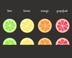 frukt skivor. lime, citron, apelsin, grapefrukt. vektor illustration