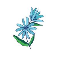vild blomma. blommig ört- växter med blå blommor. delikat fält och äng vild och örter. botanisk platt vektor illustration av delikat sommar flora isolerat på vit bakgrund