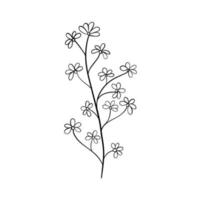 svarta silhuetter av gräs, blommor och örter isolerad på vit bakgrund. handritad skiss blommor och insekter. vektor