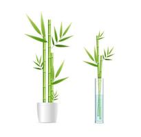 realistisch detailliert 3d anders Bambus Haus Pflanze Satz. Vektor