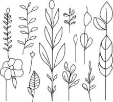 botanisch Element, botanisch Linie Zeichnung, Jahrgang botanisch Färbung Seiten, botanisch Elemente, botanisch Blume Illustration, botanisch Illustration schwarz und Weiss, botanisch Linie Zeichnung Blätter, vektor