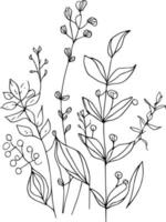 botanisch Element, botanisch Linie Zeichnung, Jahrgang botanisch Färbung Seiten, botanisch Elemente, botanisch Blume Illustration, botanisch Illustration schwarz und Weiss, botanisch Linie Zeichnung Blätter, vektor