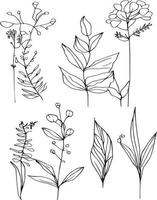 botanisch Element, botanisch Linie Zeichnung, Jahrgang botanisch Färbung Seiten, botanisch Elemente, botanisch Blume Illustration, botanisch Illustration schwarz und Weiss, botanisch Linie Zeichnung Blätter, vektor