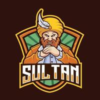 arabicum sultan e sport gaming logotyp. sultan vektor e sport