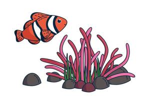clown fisk och anemon. vektor illustration