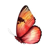 Schmetterling Aquarell isoliert auf ein Weiß Hintergrund vektor