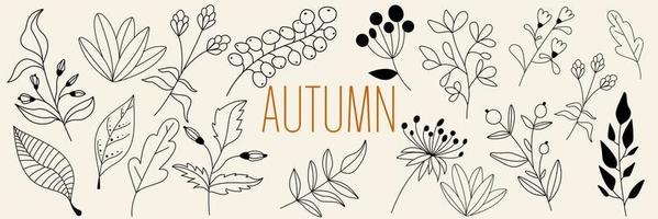 Herbst Sammlung Wald Farn Eukalyptus Kunst Laub natürlich Blätter Kräuter im Linie Stil. dekorativ Schönheit elegant Illustration zum Design Hand gezeichnet Blume. vektor