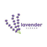 Lavendel Logo, einfach elegant lila Blume Pflanze Vektor, Gruß Karte Design, Banner, Blume Ornament, Lavendel Hand gezeichnet Hochzeit, Symbol Symbol Illustration vektor