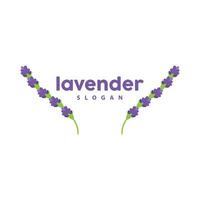 lavendel- logotyp, enkel elegant lila blomma växt vektor, hälsning kort design, baner, blomma prydnad, lavendel- hand dragen bröllop, ikon symbol illustration vektor