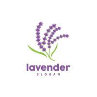 lavendel- logotyp, enkel elegant lila blomma växt vektor, hälsning kort design, baner, blomma prydnad, lavendel- hand dragen bröllop, ikon symbol illustration vektor