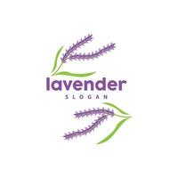 Lavendel Logo, einfach elegant lila Blume Pflanze Vektor, Gruß Karte Design, Banner, Blume Ornament, Lavendel Hand gezeichnet Hochzeit, Symbol Symbol Illustration vektor