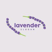 Lavendel Logo, einfach elegant lila Blume Pflanze Vektor, Gruß Karte Design, Banner, Blume Ornament, Lavendel Hand gezeichnet Hochzeit, Symbol Symbol Illustration vektor