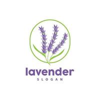 Lavendel Logo, einfach elegant lila Blume Pflanze Vektor, Gruß Karte Design, Banner, Blume Ornament, Lavendel Hand gezeichnet Hochzeit, Symbol Symbol Illustration vektor