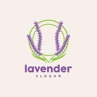 Lavendel Logo, einfach elegant lila Blume Pflanze Vektor, Gruß Karte Design, Banner, Blume Ornament, Lavendel Hand gezeichnet Hochzeit, Symbol Symbol Illustration vektor