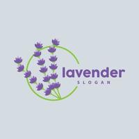 Lavendel Logo, einfach elegant lila Blume Pflanze Vektor, Gruß Karte Design, Banner, Blume Ornament, Lavendel Hand gezeichnet Hochzeit, Symbol Symbol Illustration vektor