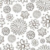 skiss stil blommor botanisk svartvit mönster vektor