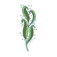 grön kvist av rosmarin tecknad serie stil, isolerat vektor ikon. grafisk element för förpackning, logotyp, för rosmarin Produkter.