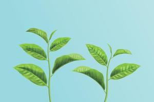 frisch Grün Tee Zweige isoliert auf Himmel Blau Hintergrund, Element zum Anzeige, 3d Illustration vektor