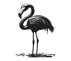 Flamingo, Silhouetten Flamingo, schwarz und Weiß Flamingo Vektor
