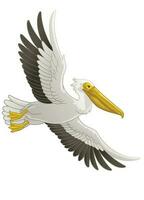 bra vit pelikan fågel flygande vektor