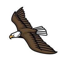 logotyp för flygande örn vektor