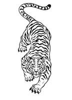 hand dragen av svart och vit hukande arg tiger vektor