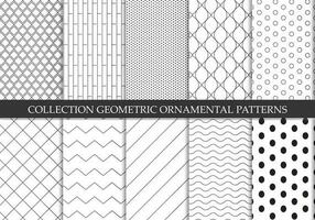 Sammlung von wiederholbar Zier Vektor Muster. Gitter geometrisch orientalisch Hintergründe.
